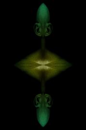 AtheyMG_6131sym